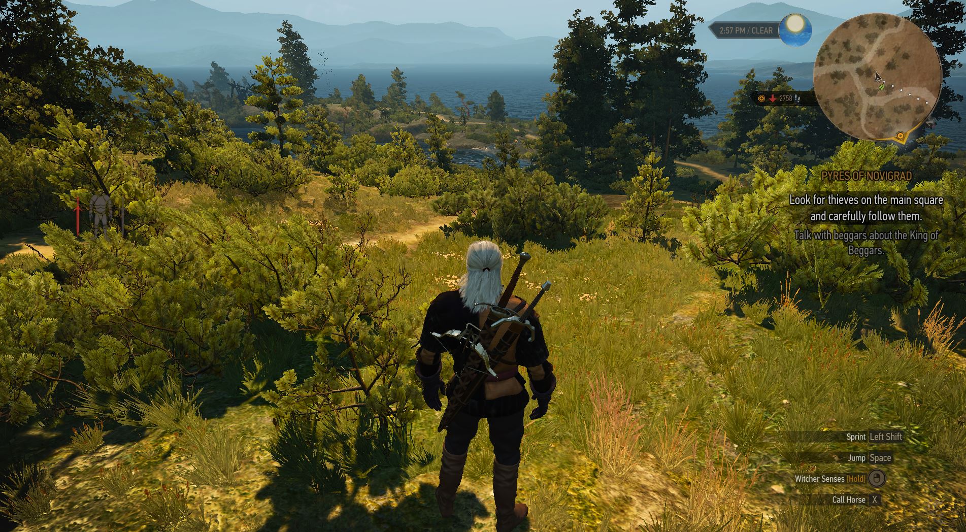 Witcher 3 Graphics