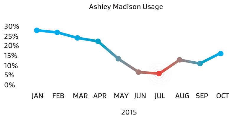 Ashley Madison usage