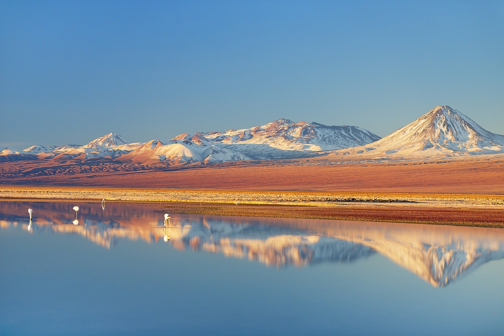 Chile's Atacama Desert is the perfect destination for an "Unplugged" holiday